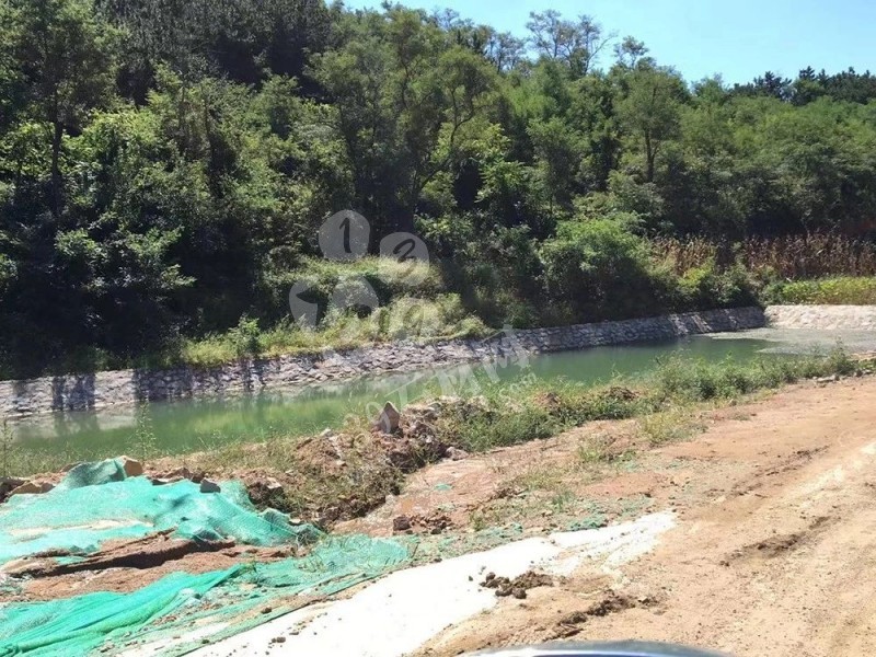 山東榮成（石島紅皇室珍珠產地）：鐵腕修復礦山，再塑生態翠屏